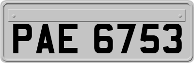 PAE6753
