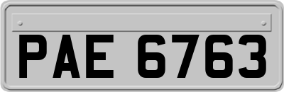 PAE6763