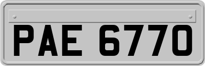 PAE6770