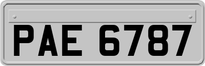 PAE6787