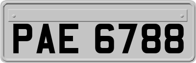 PAE6788
