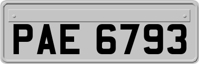 PAE6793