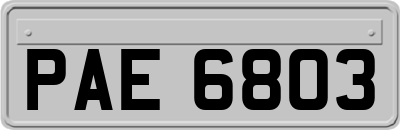 PAE6803