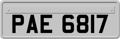 PAE6817