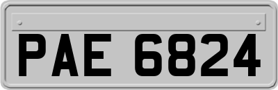 PAE6824