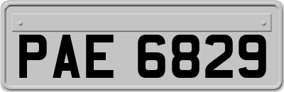 PAE6829