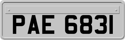 PAE6831