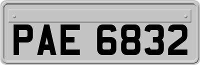 PAE6832