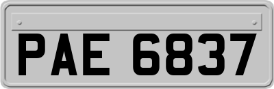 PAE6837