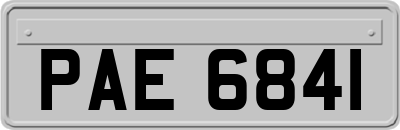 PAE6841