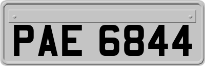 PAE6844