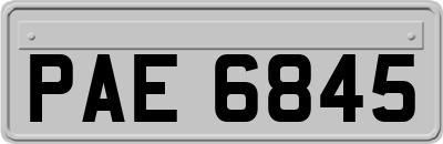 PAE6845