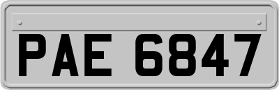PAE6847