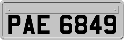 PAE6849