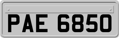 PAE6850