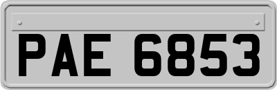PAE6853