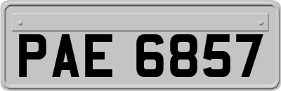 PAE6857