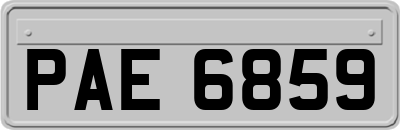 PAE6859