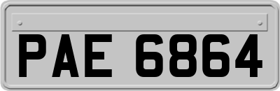 PAE6864
