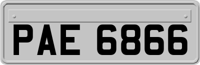 PAE6866