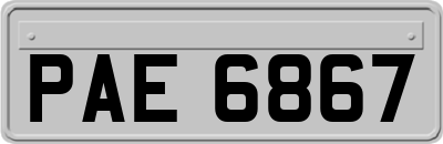 PAE6867