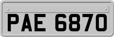 PAE6870