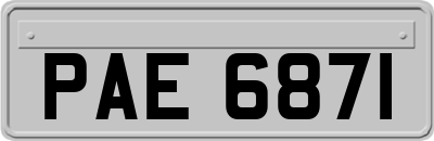 PAE6871