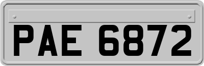 PAE6872