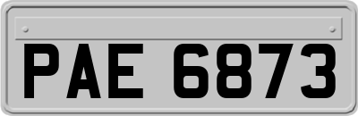 PAE6873
