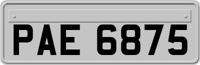 PAE6875