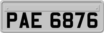 PAE6876