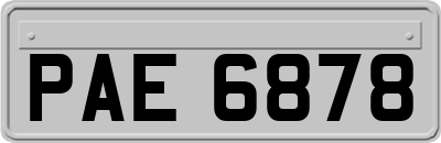 PAE6878