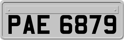 PAE6879