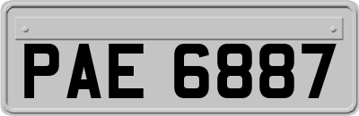 PAE6887