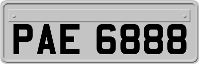 PAE6888