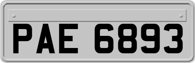 PAE6893