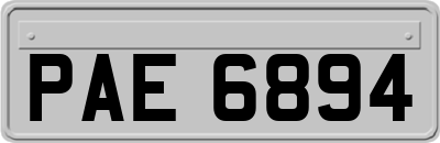 PAE6894