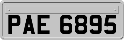 PAE6895