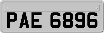 PAE6896