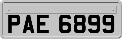 PAE6899