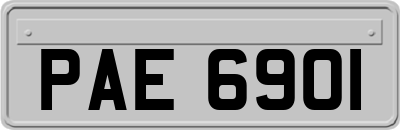 PAE6901