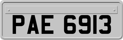 PAE6913