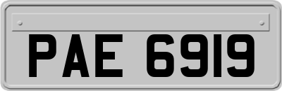 PAE6919