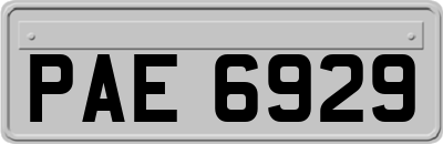 PAE6929