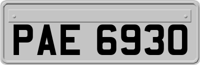 PAE6930