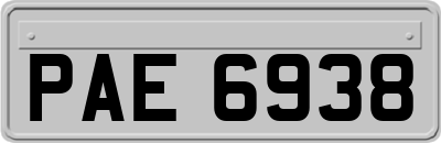 PAE6938