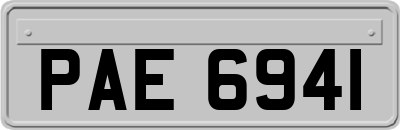 PAE6941