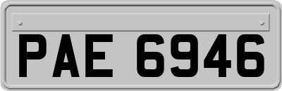 PAE6946