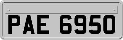 PAE6950