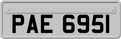 PAE6951